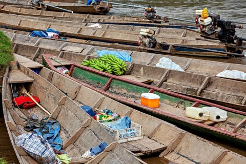 Wooden boats with bananas and motors on the banks of a river, longboat on a river near Rurrenabaque
