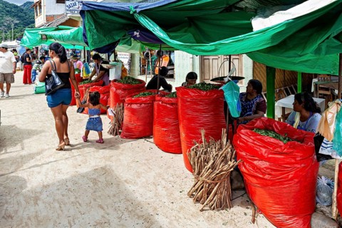 Lively market scene in a tropical village with woman selling goods in big red bags selling coca