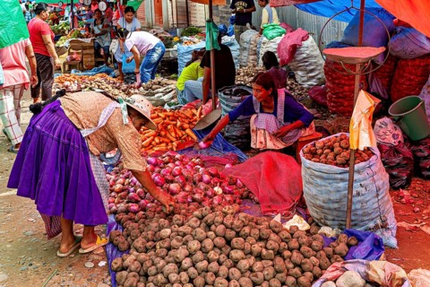 Different types of vegetables are sold in colorful bags at a lively market, The Rurrenabaque market