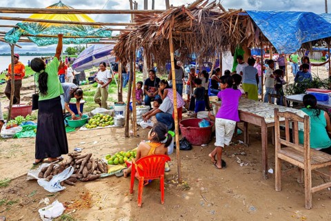 Market scene with people packing fruit and vegetables under makeshift roofs, The Rurrenabaque