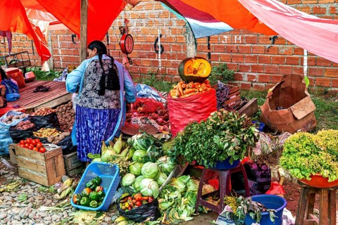 A stand full of vegetables under red tarpaulins at a market, with a brick wall in the background,