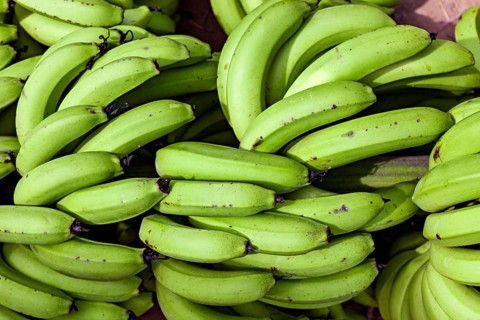 Close-up of green, fresh bananas in natural texture, green bananas at the Rurrenabaque market in
