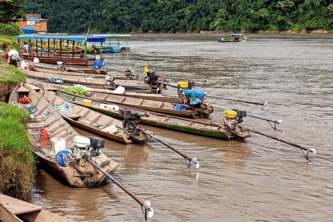Wooden boats with motors along an overgrown riverbank, longboat on a river near Rurrenabaque in the