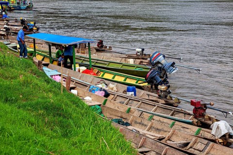 Wooden boats with motors on the banks of a river with grassy banks, longboat on a river near