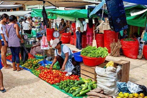 People at the market stand with a wide range of fresh vegetables under various tent canopies, The