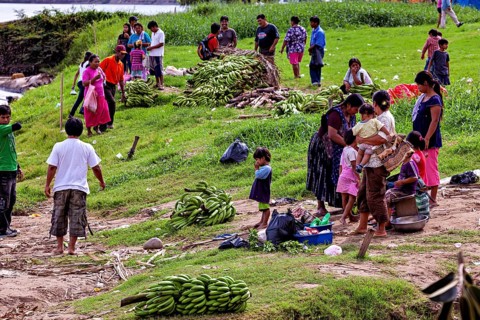 People gather in a meadow full of bananas, the atmosphere seems lively and social, The Rurrenabaque