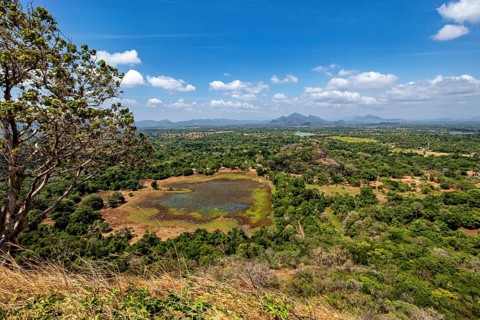 A pond surrounded by trees and fields, with a clear sky and distant hills, the landscape with the