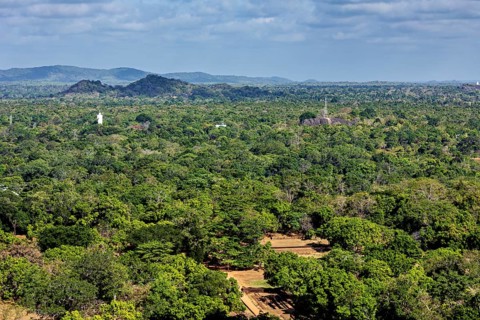 Dense green forests stretch to distant hills under blue skies, the landscape with views from Lion