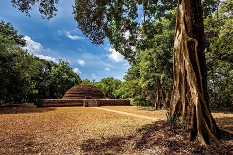 An old stupa between tall trees with a clear sky and shady areas, the temples, dagobas, and pagodas