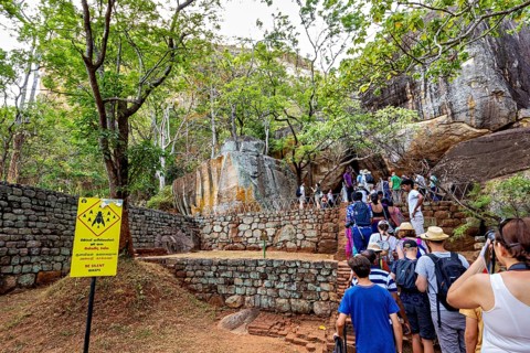 Group of people on a hiking trail next to rocks and trees, tourist environment, tourists at the