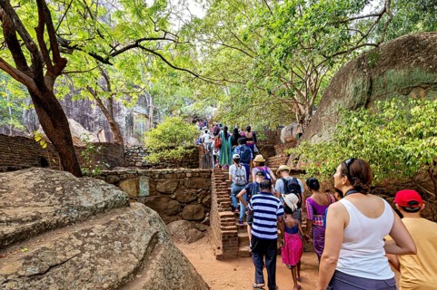Tourists walk up a rocky staircase surrounded by trees and rocks, relaxed atmosphere, tourists at