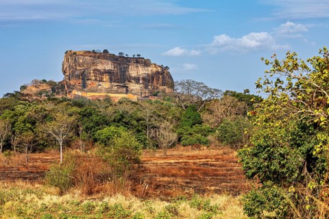 Field with a distinctive rock in the background under a slightly cloudy sky, The Lion Rock near