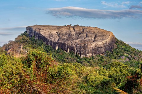 Large rock with green vegetation and cloudy sky in the background, The Pidurangala Rock near