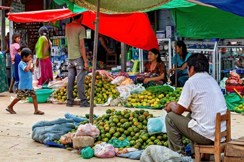 People trade vividly under colorful tents in a market full of fruit, The Rurrenabaque market in