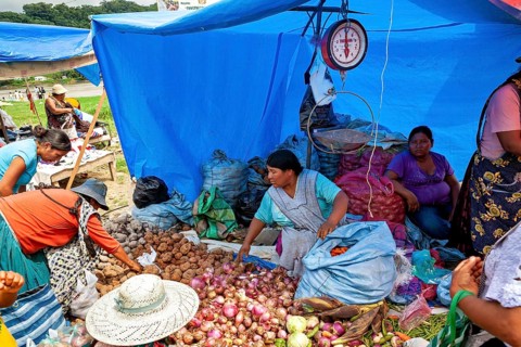 Women sell vegetables such as onions and potatoes under a blue tarp at a market, The Rurrenabaque