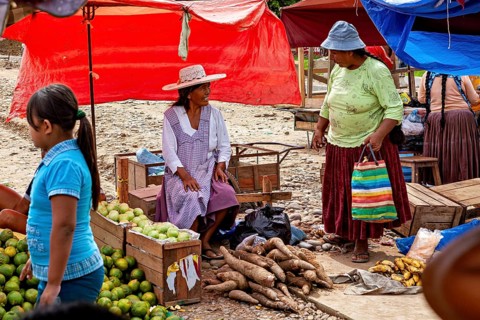 Saleswomen offer local products such as yuca and mangoes under red tarps, The Rurrenabaque market