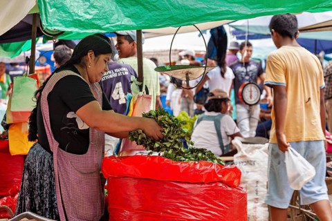 A woman sells fresh vegetables at a busy market with colorful stalls, The Rurrenabaque Market in