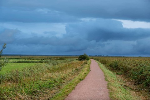 Hiking trail through the lagoon landscape, rain clouds (Nimbostratus), Ahrenshoop, Darß,