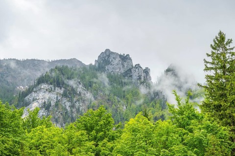 View into the mountains next to Lake Offensee on a rainy day in spring, Salzkammergut, Austria,