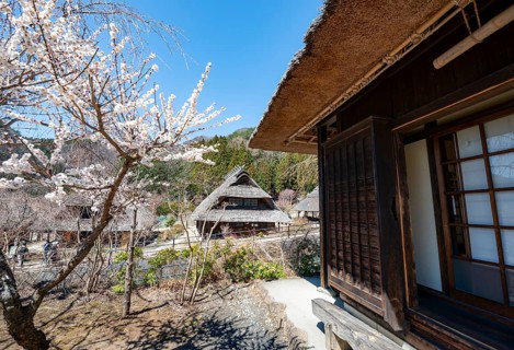 Iyashinosato open-air museum, old Japanese village with traditional houses, Fujikawaguchiko, Saiko,