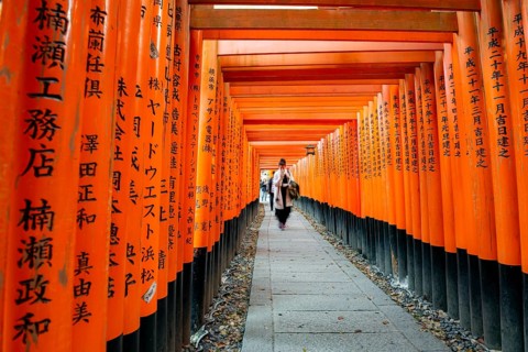 Visitors on a journey through hundreds of red traditional torii gates, Fushimi Inari-taisha, Shinto
