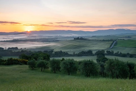 Poggio Covili estate with cypress alley (Cupressus) at sunrise, near San Quirico d'Orcia, Val