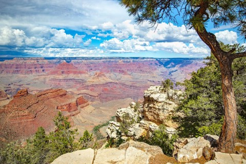 Beautiful landscape of the grand canyon, arizona