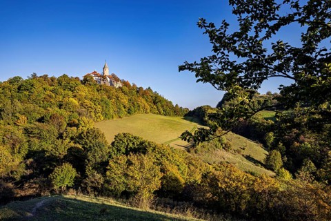 A castle on a wooded hill with a vast meadow and clear sky, The Leuchtenburg near Kahla im Saale