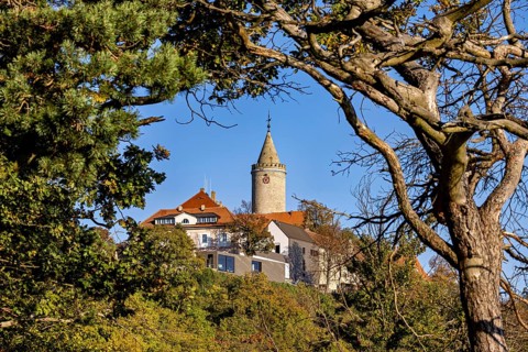A castle with a tower surrounded by trees and branches, highlighted by a clear sky, The