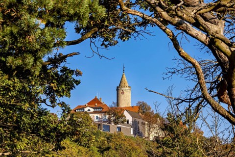 A castle with a tower, framed by trees and branches, in front of a clear autumn sky, The