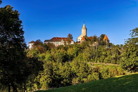 A castle on a wooded hill with clear blue sky in the background, The Leuchtenburg near Kahla im