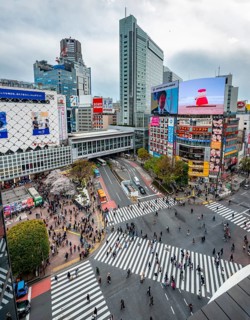 Modern houses with colorful neon signs and large road intersection, Shibuya Crossing from above,