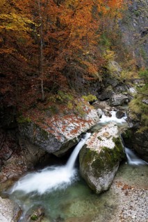 Stream in autumn in the Nothklamm, Gams, Palfau, Hieflau, Styria, Austria