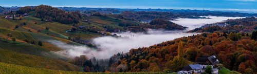 Sunrise, typical landscape in autumn with vineyards and fog, South Styrian hills, South Styrian