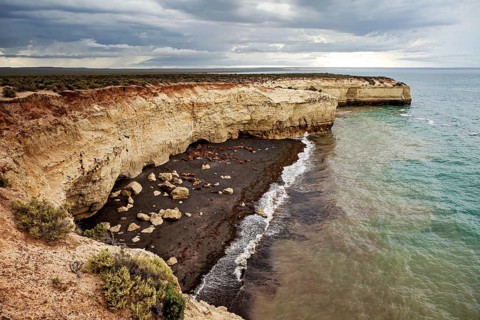 Rocky coastline with stormy sea and dramatic cliffs, The Maned Seals (Otaria flavescens) on