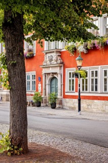 Tree in front of a red house façade with richly decorated windows in a cozy old town setting, The