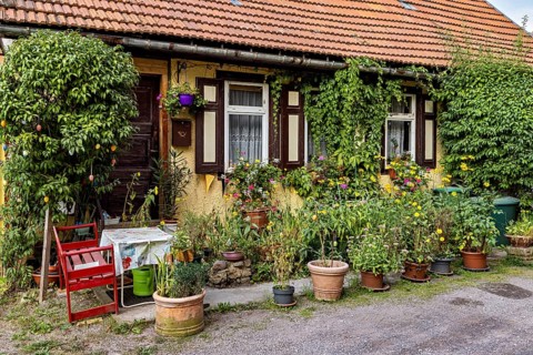 A rustic house with a lush garden in front of the door and a cozy wooden chair, old house with