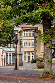 Street with trees and historic buildings, summer atmosphere in the old town, The old town of