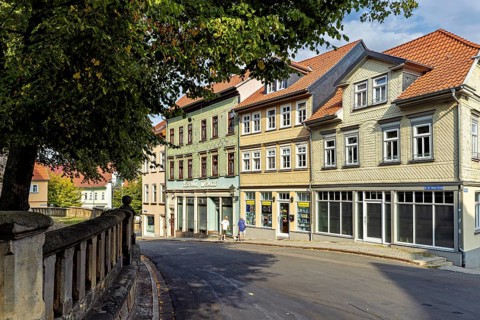 Street view with old buildings and trees in the city center in summer weather, The old town of
