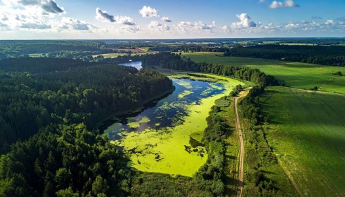 Green algae on the lake. Aerial view of nature, landscape with hills and forest in summer, cloudy