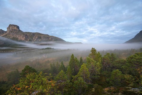 Magical morning fog on Steigtindvatnet in front of the majestic Steigtinden in Norway near Bodø