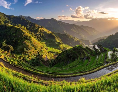 Early morning light bathes Philippines rice terraces cascading down mountain slopes, beautiful