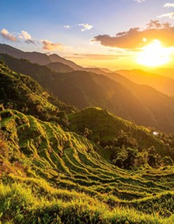 Early morning light bathes Philippines rice terraces cascading down mountain slopes, beautiful