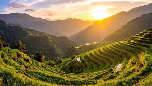 Early morning light bathes Philippines rice terraces cascading down mountain slopes, beautiful