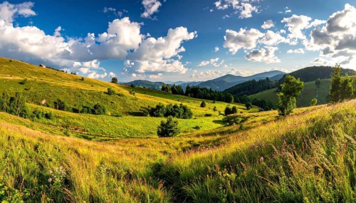 Fresh summer hilly Landscape with blooming Meadow, green plants, Blue Sky with cloudy sky, serene
