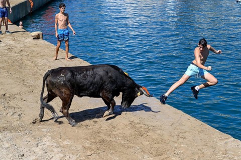 Bous a la Mar Fair, in English Bulls in the Sea, Bullfighting, Javea or Xàbia, Alicante Province,