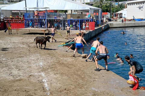 Bous a la Mar Fair, in English Bulls in the Sea, Bullfighting, Javea or Xàbia, Alicante Province,