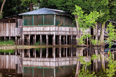 Rustic wooden huts stand on stilts by the water, surrounded by green trees, The pampas swamps in