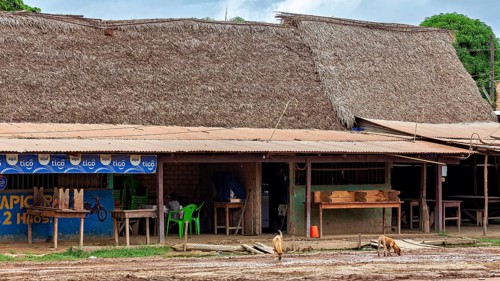 Simple shop front with thatched roof in a small tropical village, dogs running past, houses in a