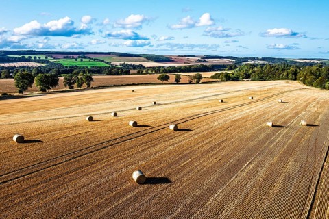 Straw bales in the Scottish fields from a drone, Southeast Scotland, UK